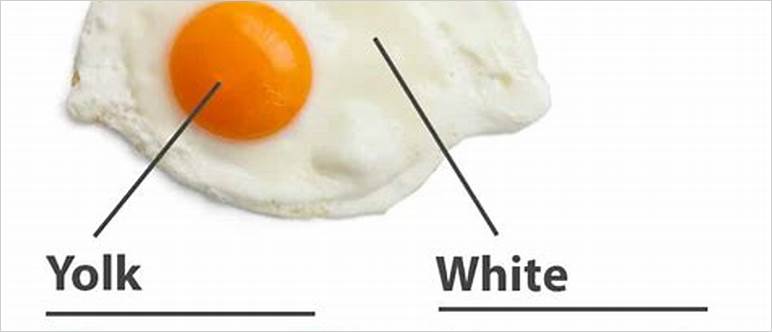 Jumbo egg white nutrition